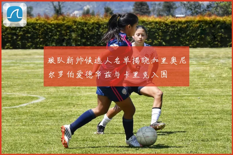 狼队新帅候选人名单揭晓加里奥尼尔罗伯爱德华兹与卡里克入围